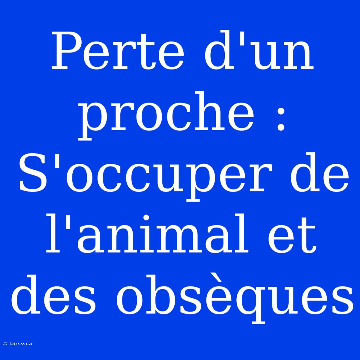 Perte D'un Proche : S'occuper De L'animal Et Des Obsèques