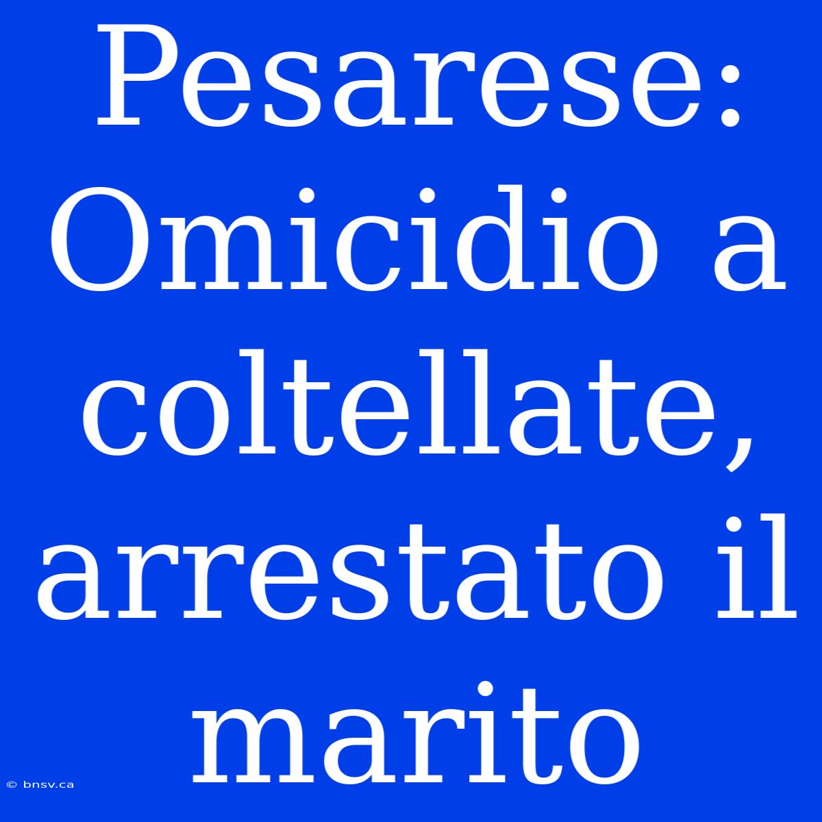 Pesarese: Omicidio A Coltellate, Arrestato Il Marito