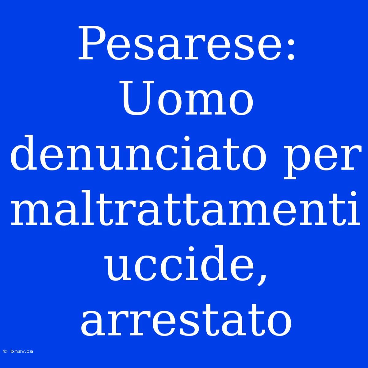 Pesarese: Uomo Denunciato Per Maltrattamenti Uccide, Arrestato