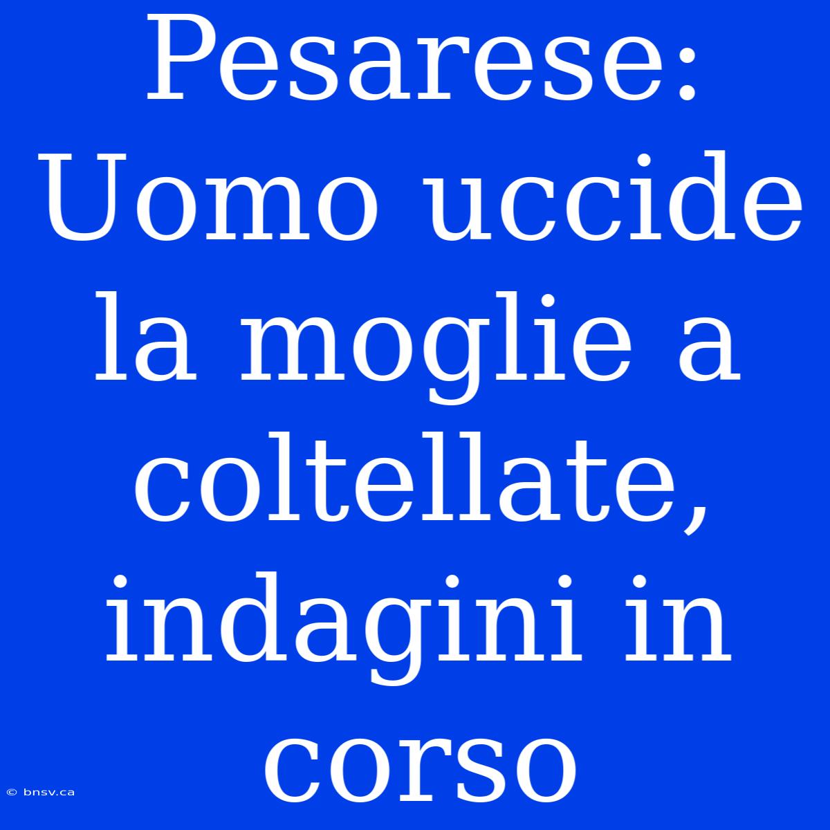 Pesarese: Uomo Uccide La Moglie A Coltellate, Indagini In Corso