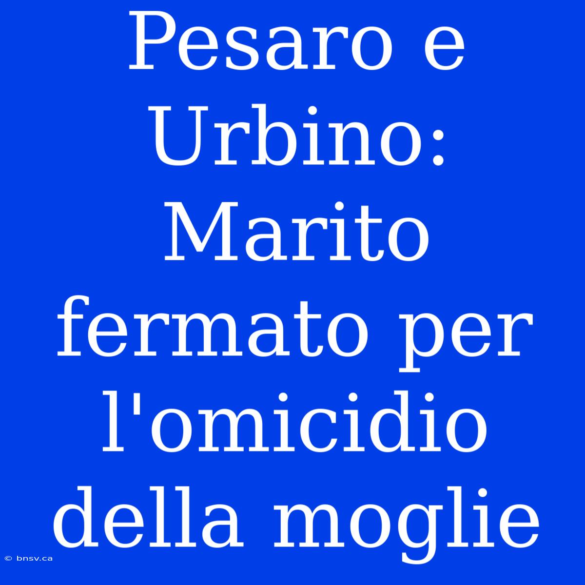 Pesaro E Urbino: Marito Fermato Per L'omicidio Della Moglie