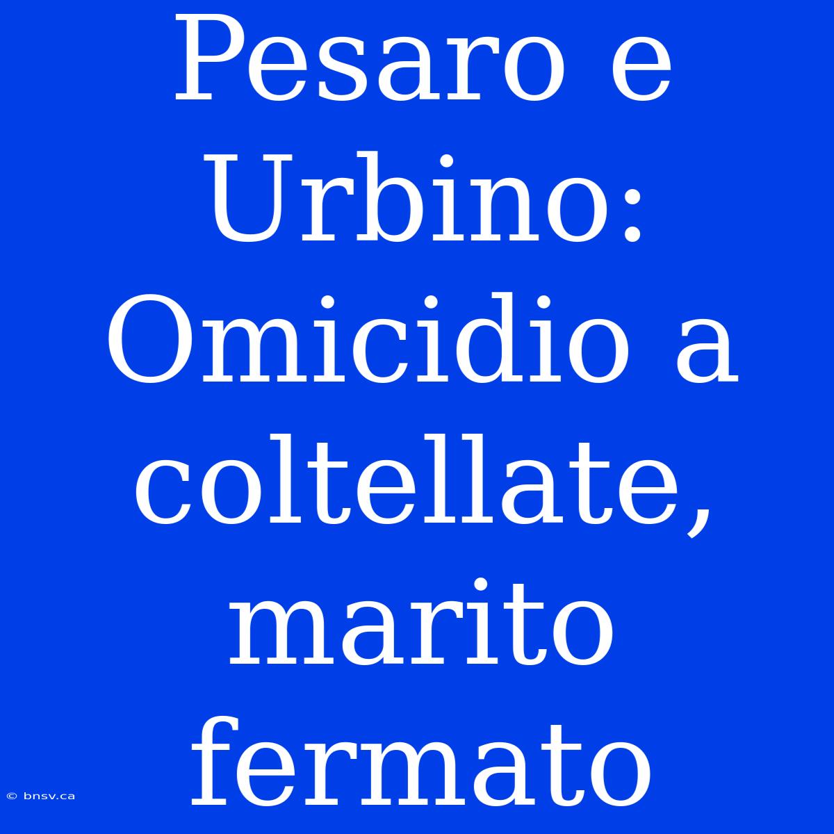 Pesaro E Urbino: Omicidio A Coltellate, Marito Fermato