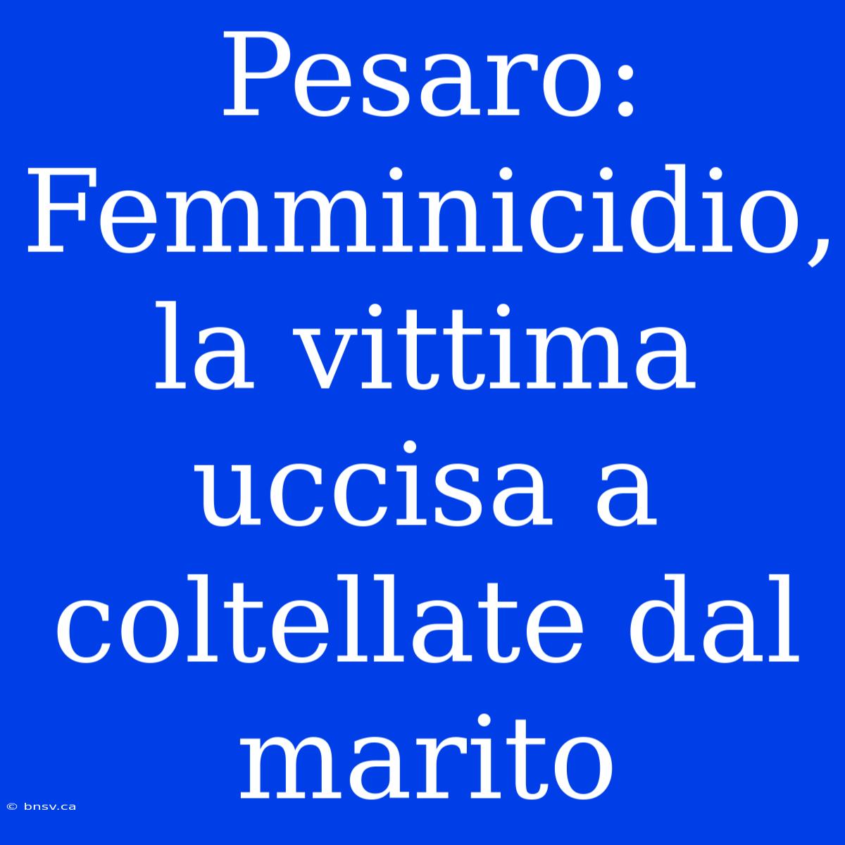 Pesaro: Femminicidio, La Vittima Uccisa A Coltellate Dal Marito