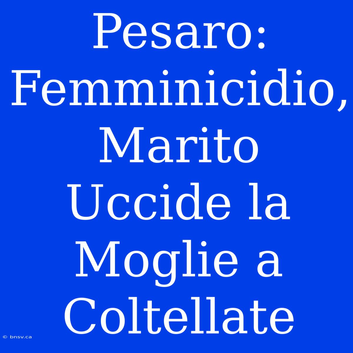 Pesaro: Femminicidio, Marito Uccide La Moglie A Coltellate