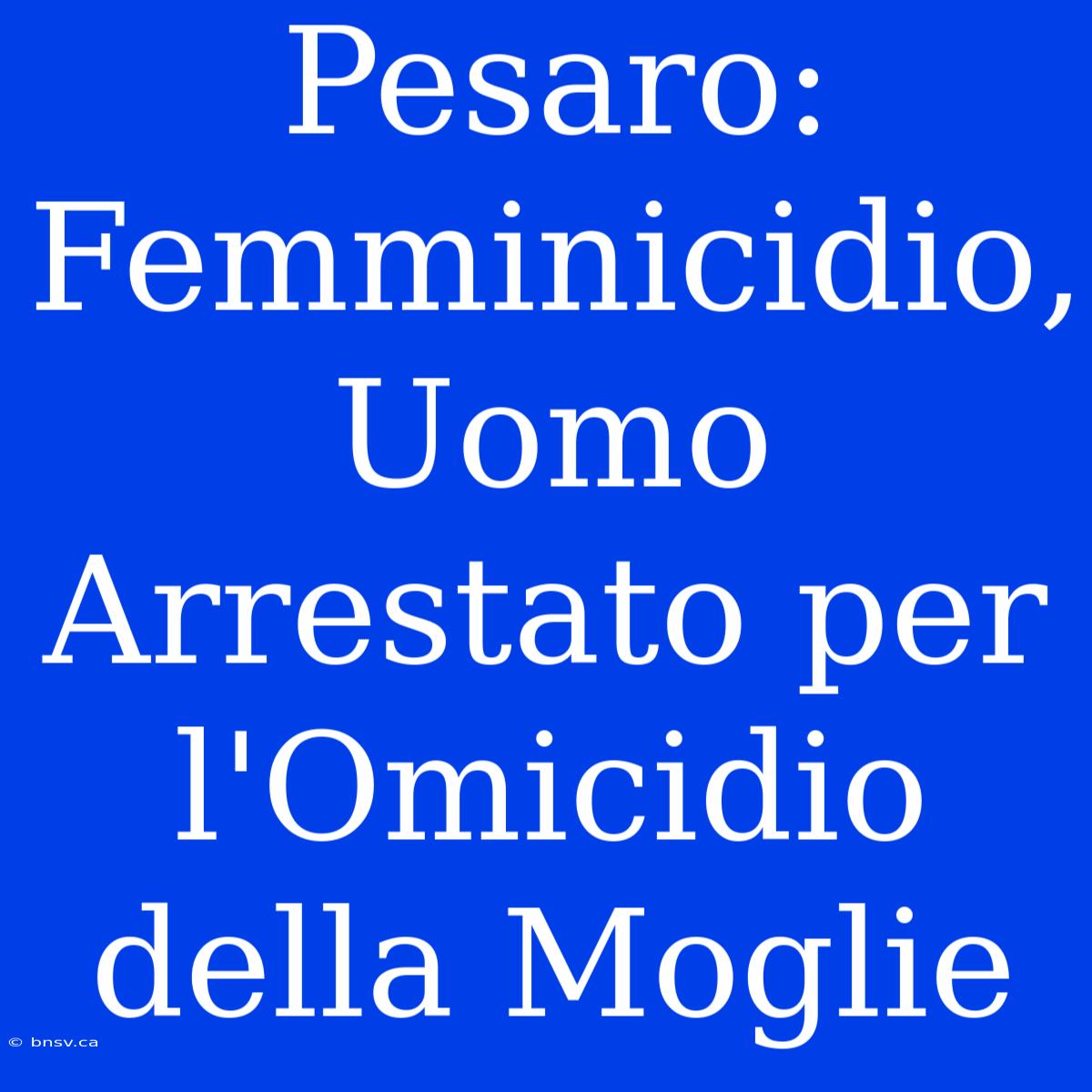 Pesaro: Femminicidio, Uomo Arrestato Per L'Omicidio Della Moglie