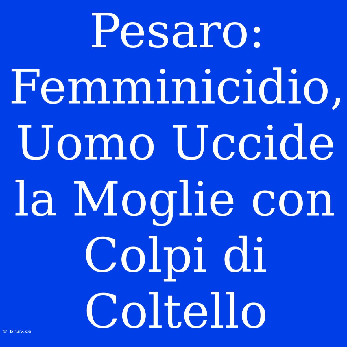 Pesaro: Femminicidio, Uomo Uccide La Moglie Con Colpi Di Coltello