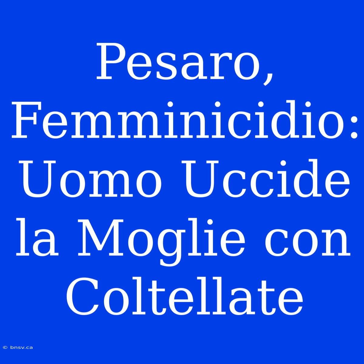 Pesaro, Femminicidio: Uomo Uccide La Moglie Con Coltellate