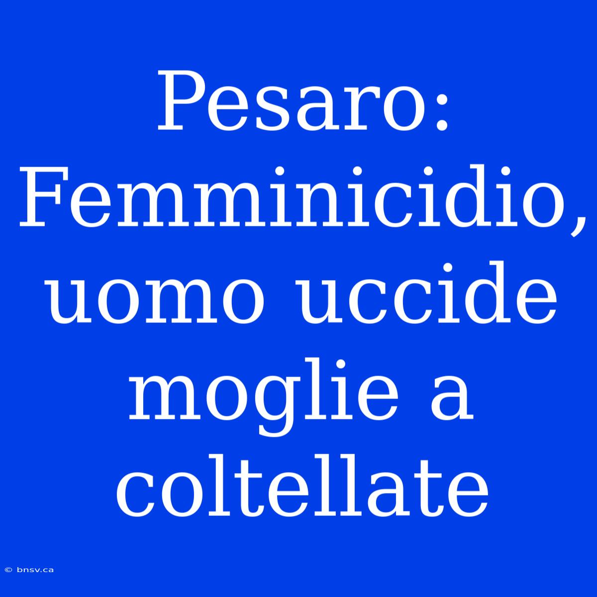 Pesaro: Femminicidio, Uomo Uccide Moglie A Coltellate