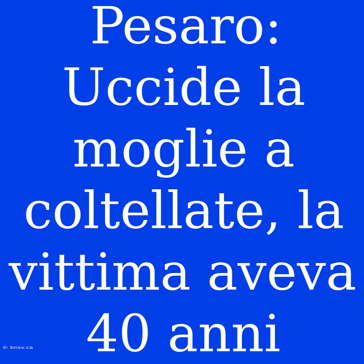 Pesaro: Uccide La Moglie A Coltellate, La Vittima Aveva 40 Anni