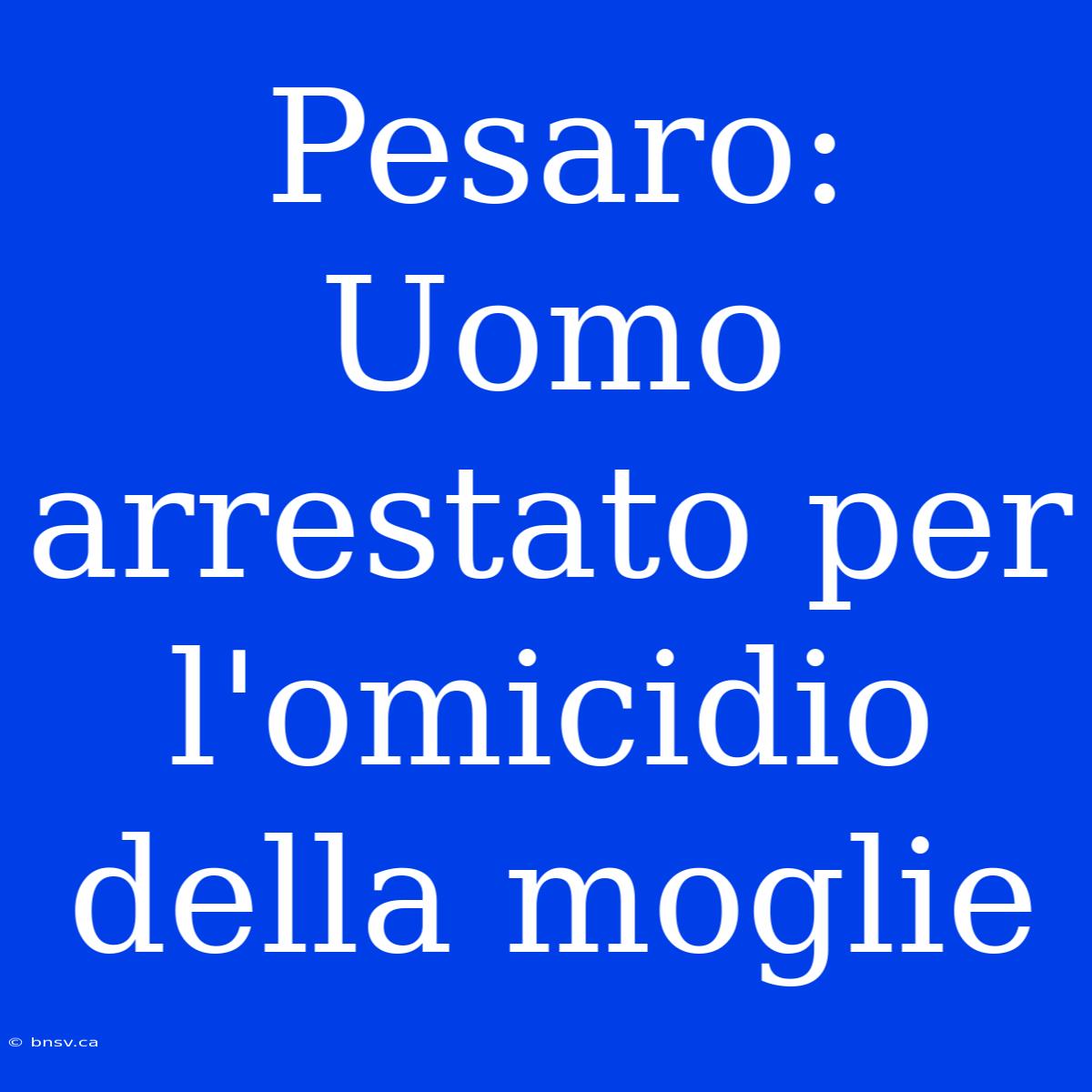 Pesaro: Uomo Arrestato Per L'omicidio Della Moglie