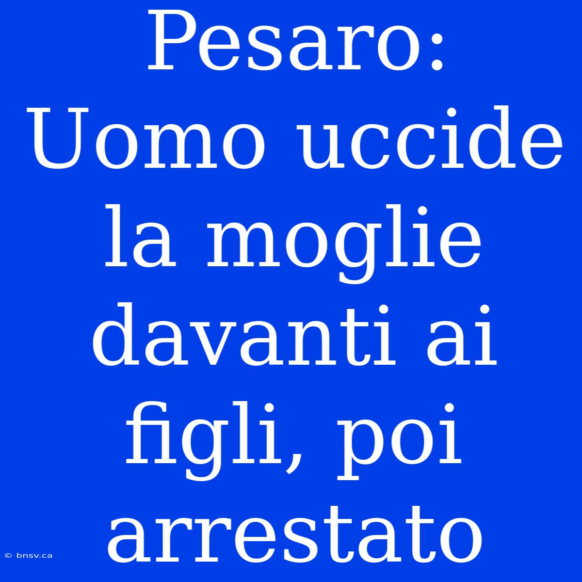 Pesaro: Uomo Uccide La Moglie Davanti Ai Figli, Poi Arrestato