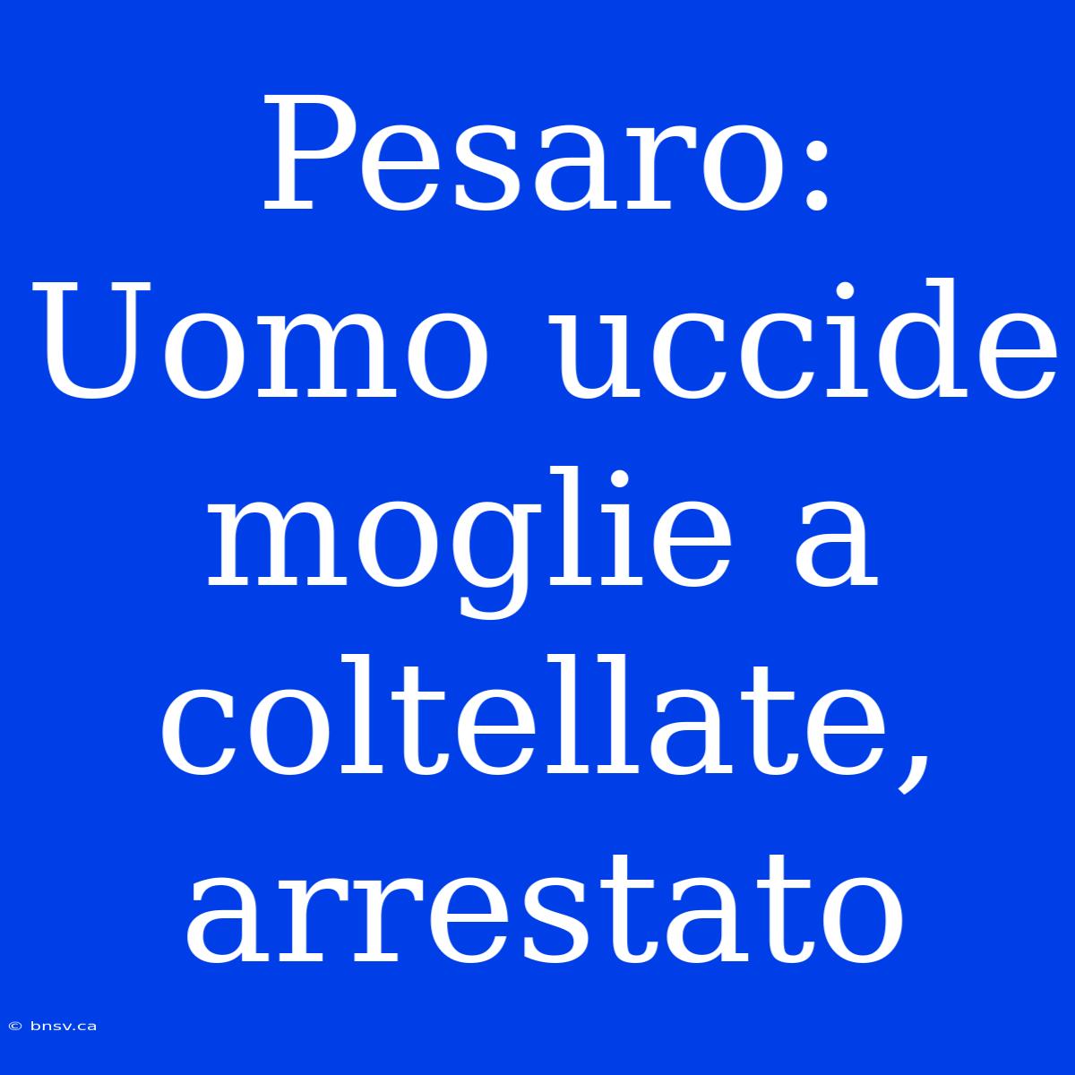 Pesaro: Uomo Uccide Moglie A Coltellate, Arrestato