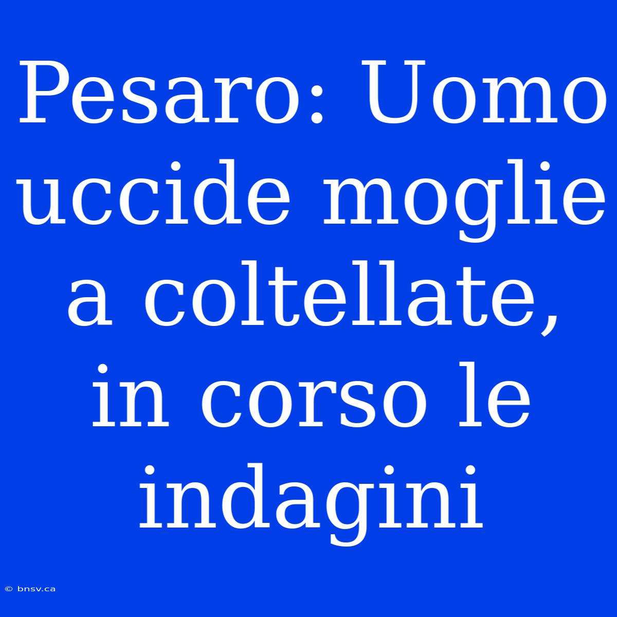 Pesaro: Uomo Uccide Moglie A Coltellate, In Corso Le Indagini