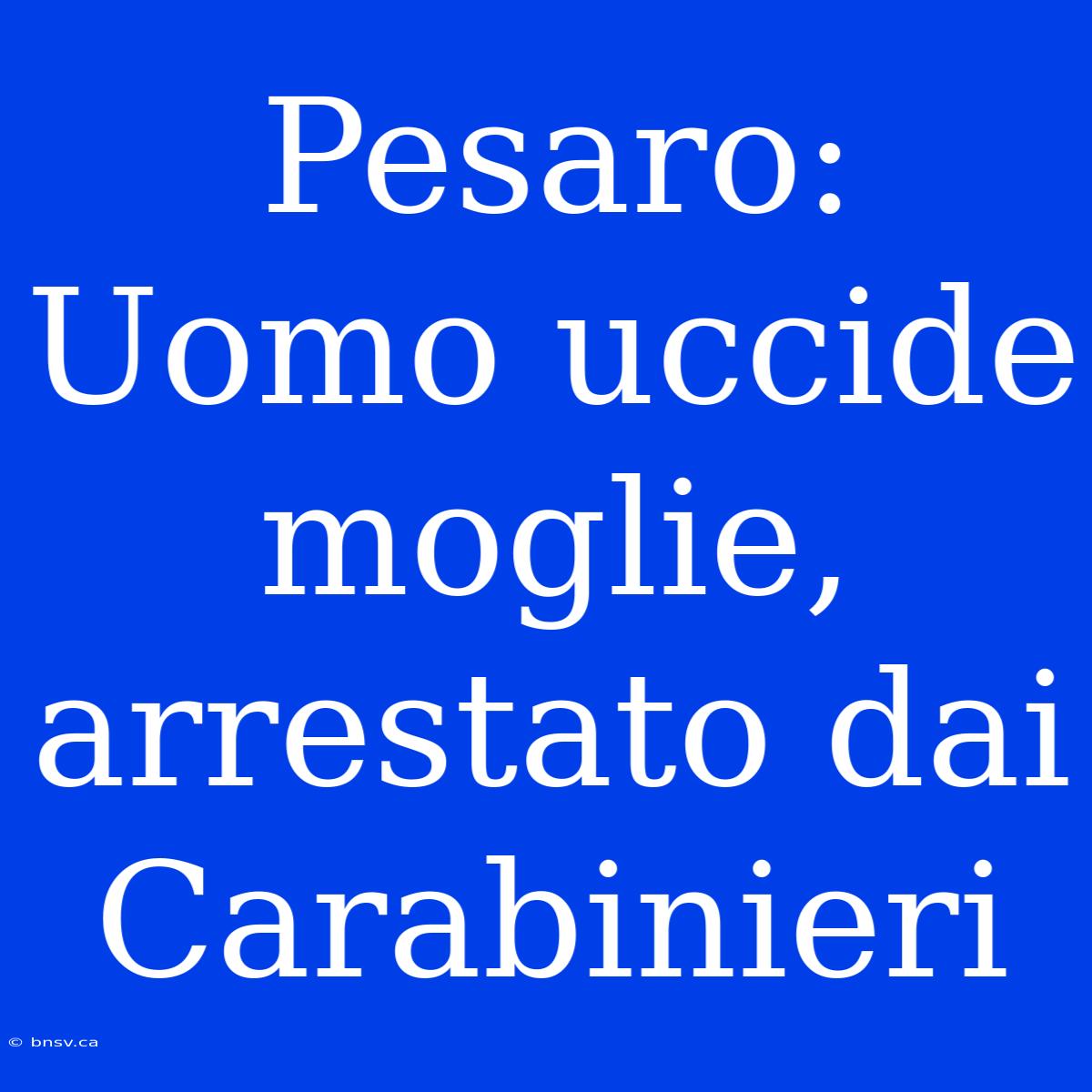 Pesaro: Uomo Uccide Moglie, Arrestato Dai Carabinieri