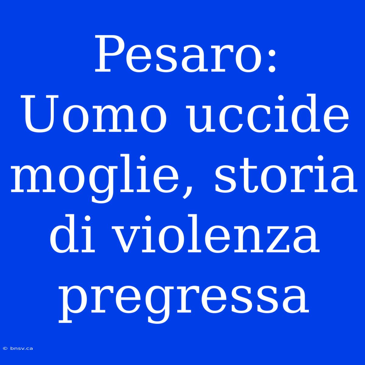 Pesaro: Uomo Uccide Moglie, Storia Di Violenza Pregressa