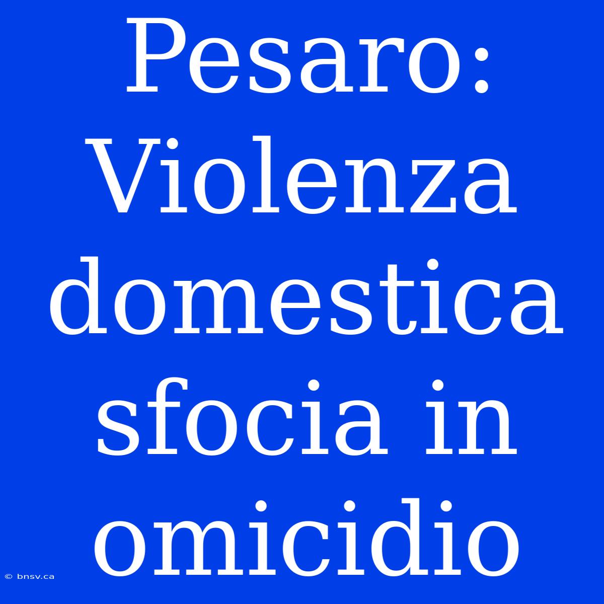 Pesaro: Violenza Domestica Sfocia In Omicidio