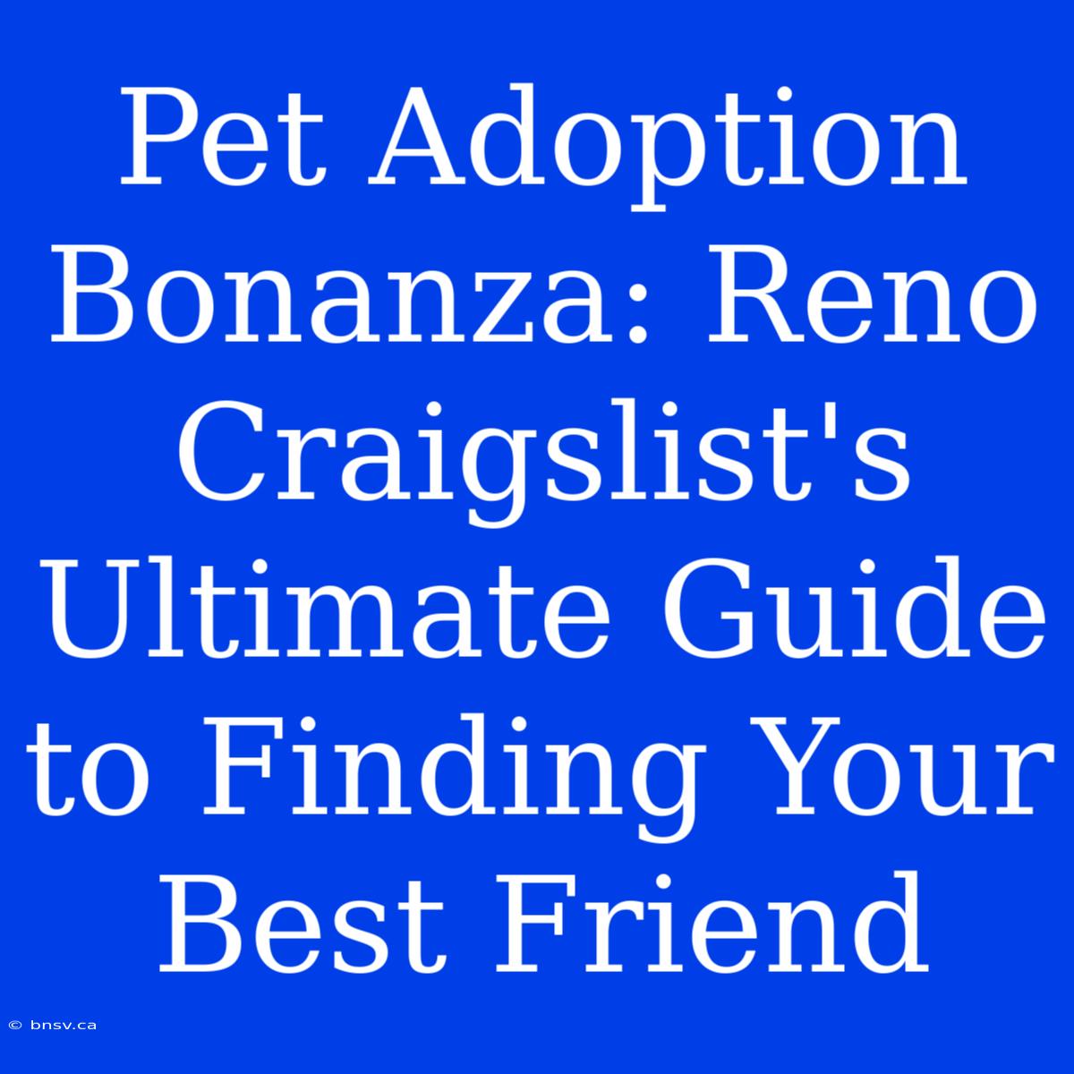 Pet Adoption Bonanza: Reno Craigslist's Ultimate Guide To Finding Your Best Friend