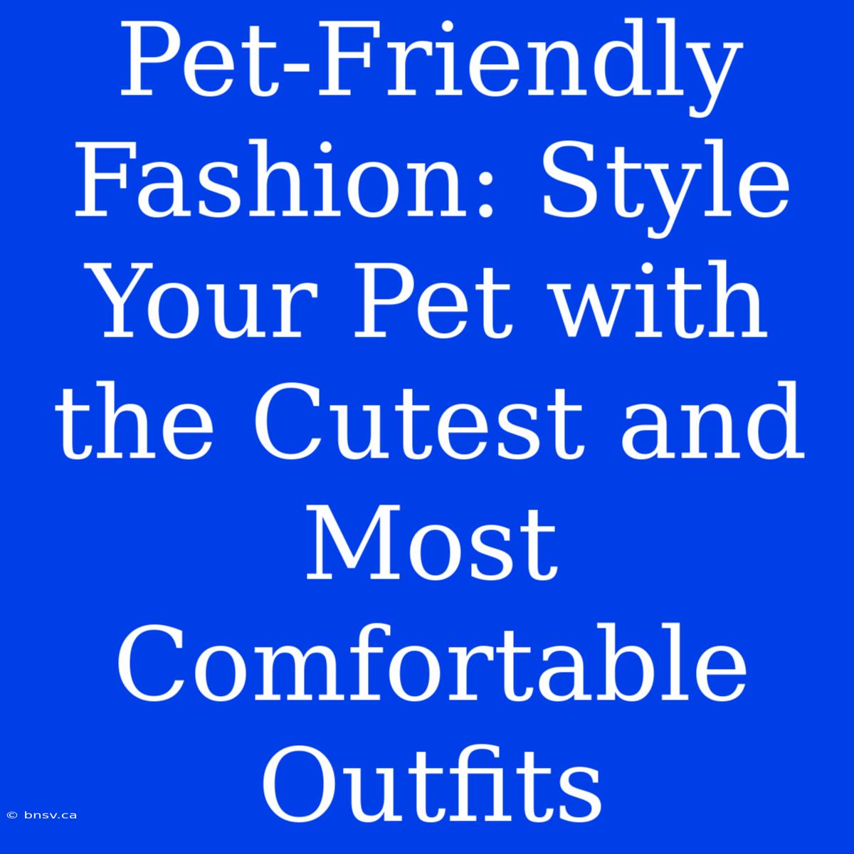 Pet-Friendly Fashion: Style Your Pet With The Cutest And Most Comfortable Outfits