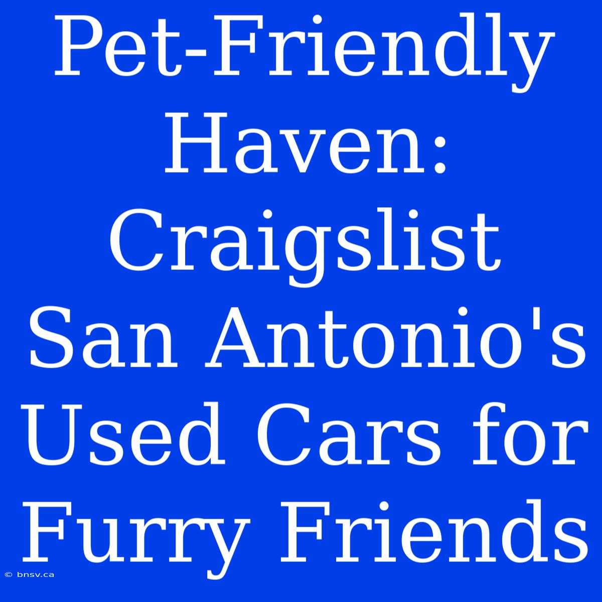 Pet-Friendly Haven: Craigslist San Antonio's Used Cars For Furry Friends