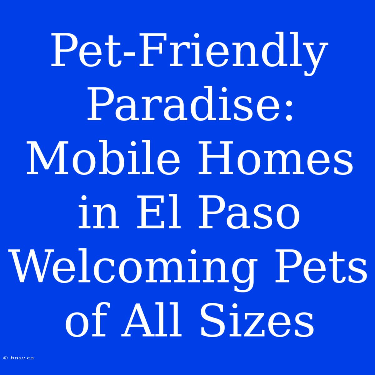 Pet-Friendly Paradise: Mobile Homes In El Paso Welcoming Pets Of All Sizes