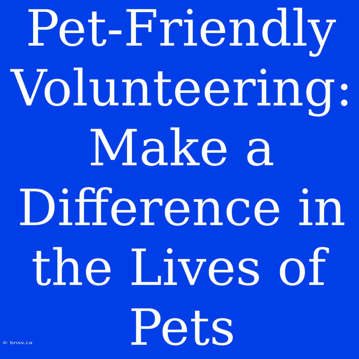 Pet-Friendly Volunteering: Make A Difference In The Lives Of Pets