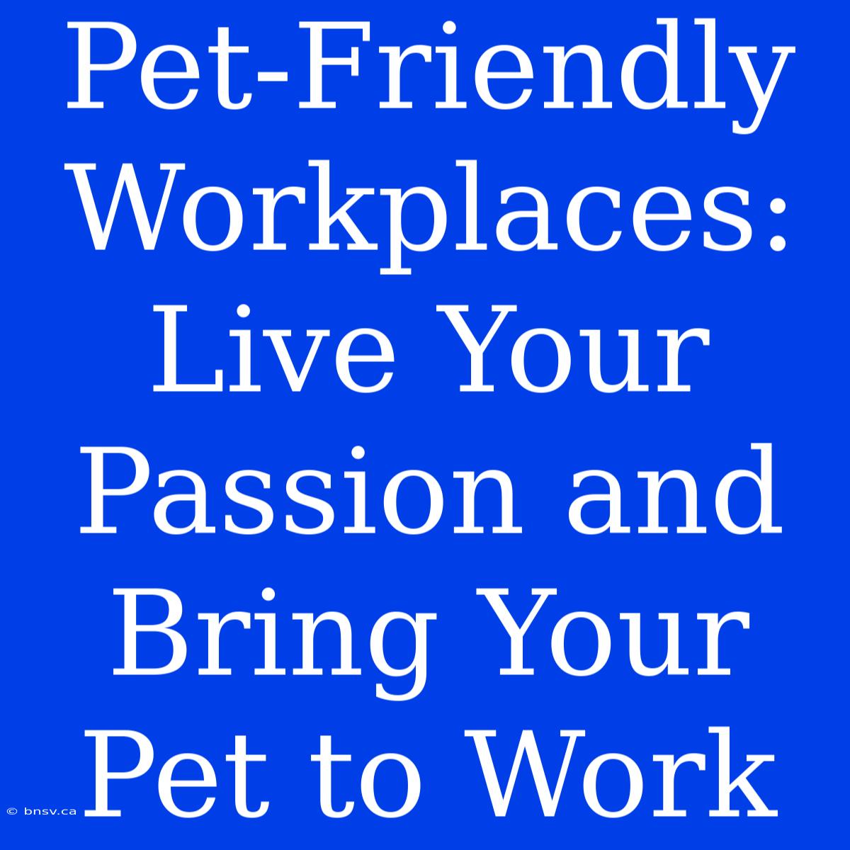 Pet-Friendly Workplaces: Live Your Passion And Bring Your Pet To Work