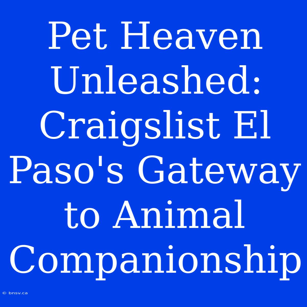 Pet Heaven Unleashed: Craigslist El Paso's Gateway To Animal Companionship