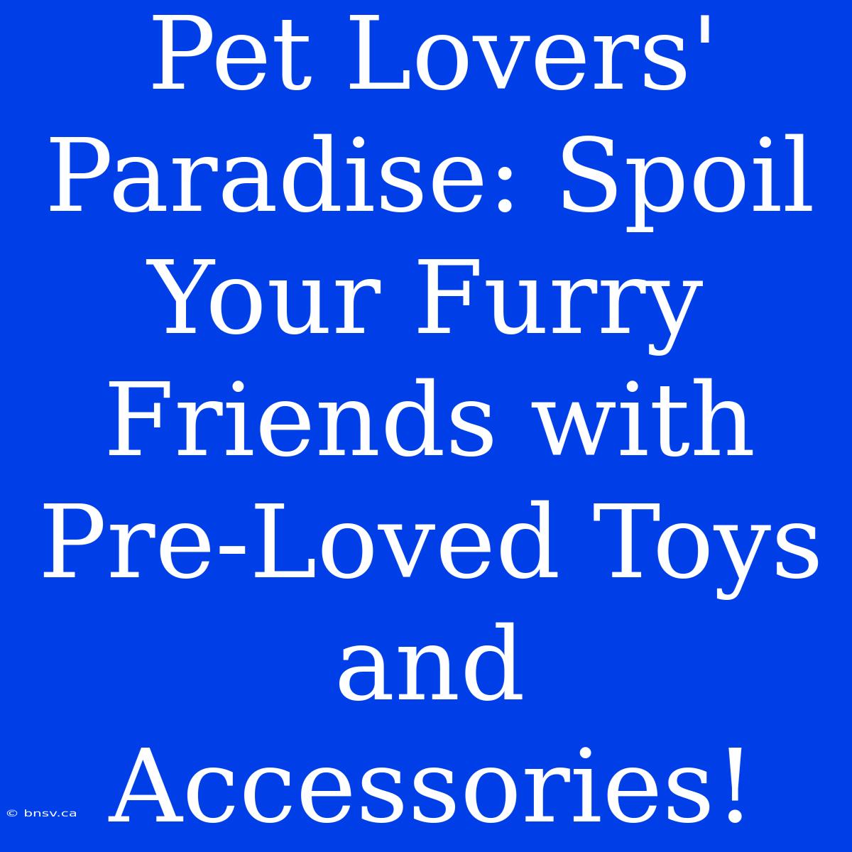 Pet Lovers' Paradise: Spoil Your Furry Friends With Pre-Loved Toys And Accessories!