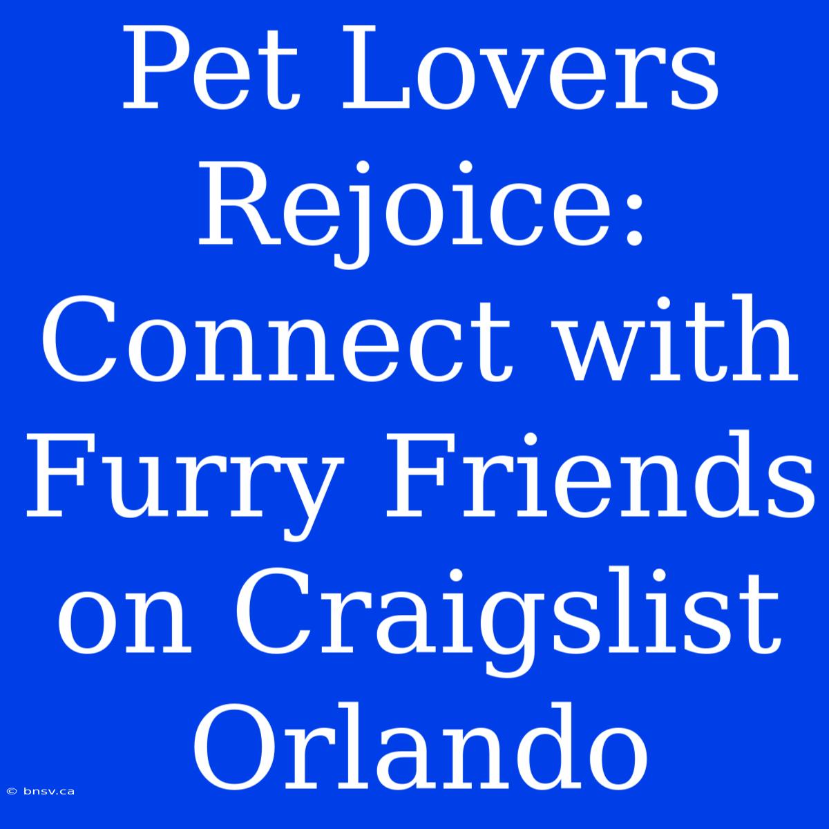 Pet Lovers Rejoice: Connect With Furry Friends On Craigslist Orlando