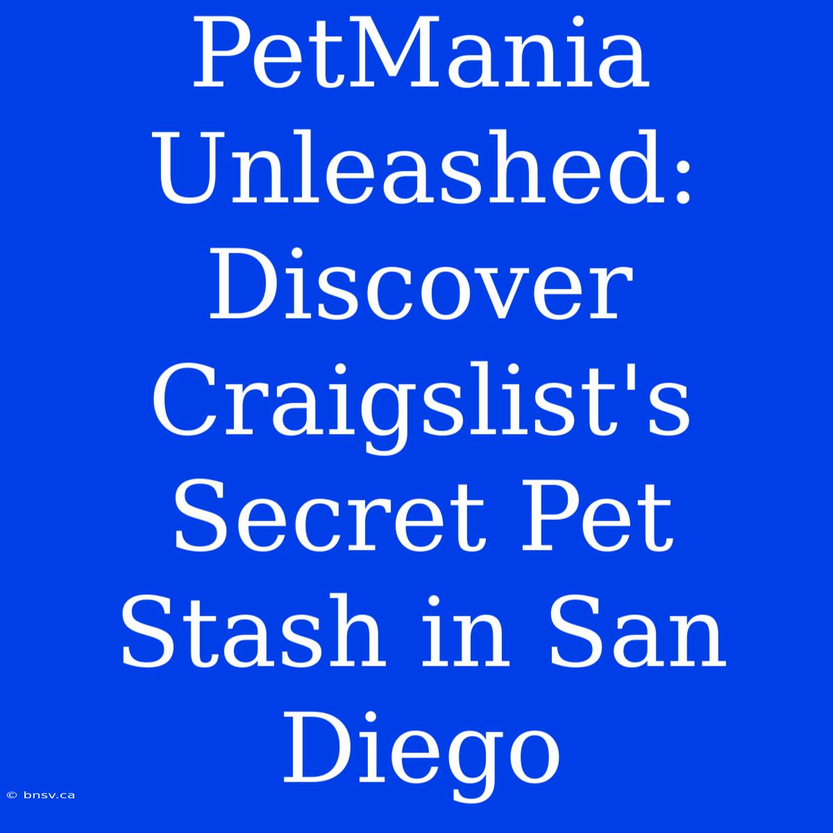 PetMania Unleashed: Discover Craigslist's Secret Pet Stash In San Diego