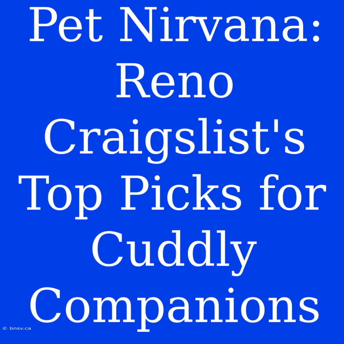 Pet Nirvana: Reno Craigslist's Top Picks For Cuddly Companions