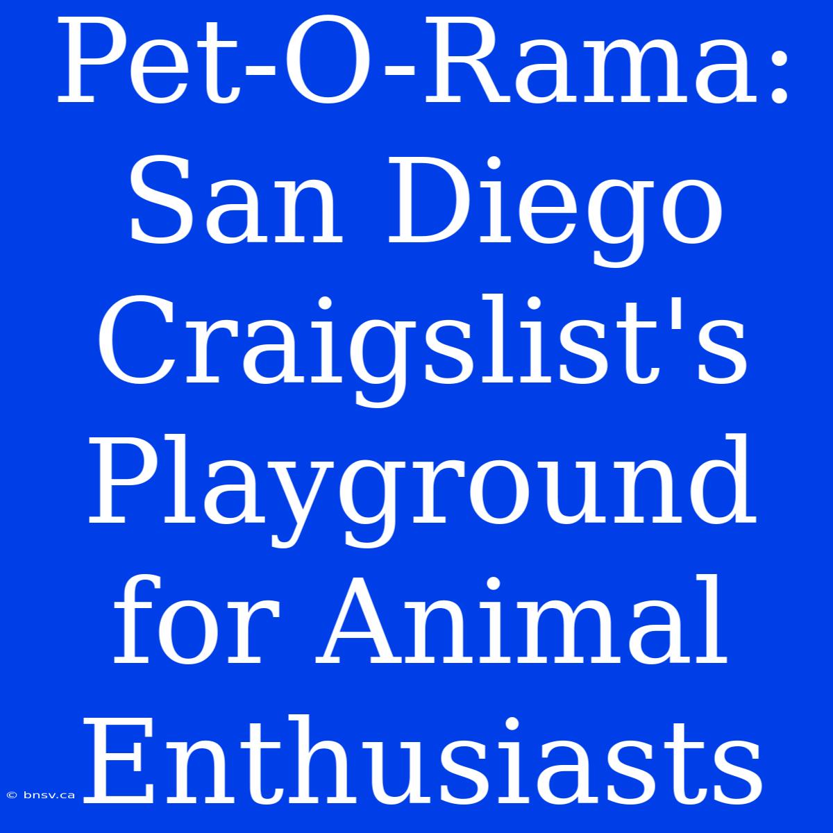 Pet-O-Rama: San Diego Craigslist's Playground For Animal Enthusiasts