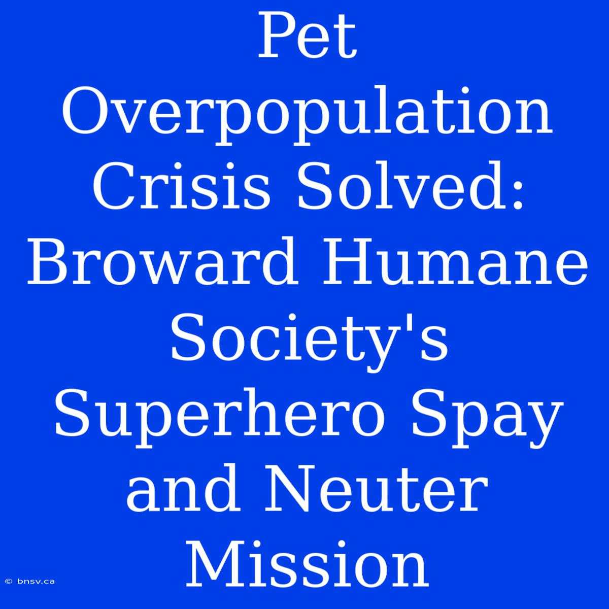 Pet Overpopulation Crisis Solved: Broward Humane Society's Superhero Spay And Neuter Mission