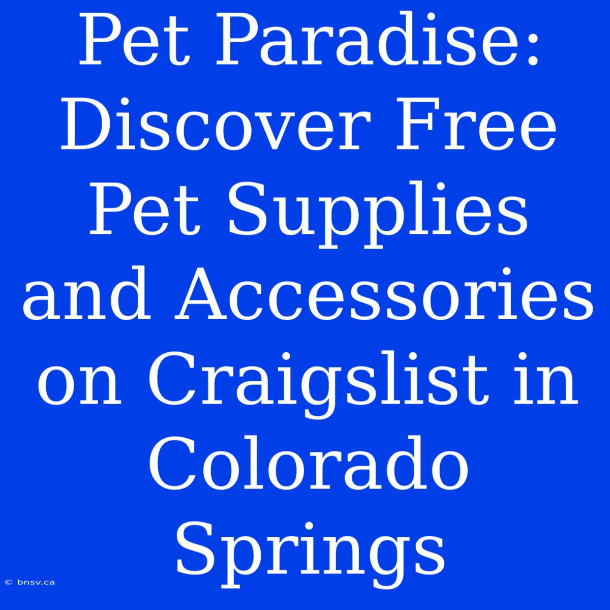 Pet Paradise: Discover Free Pet Supplies And Accessories On Craigslist In Colorado Springs