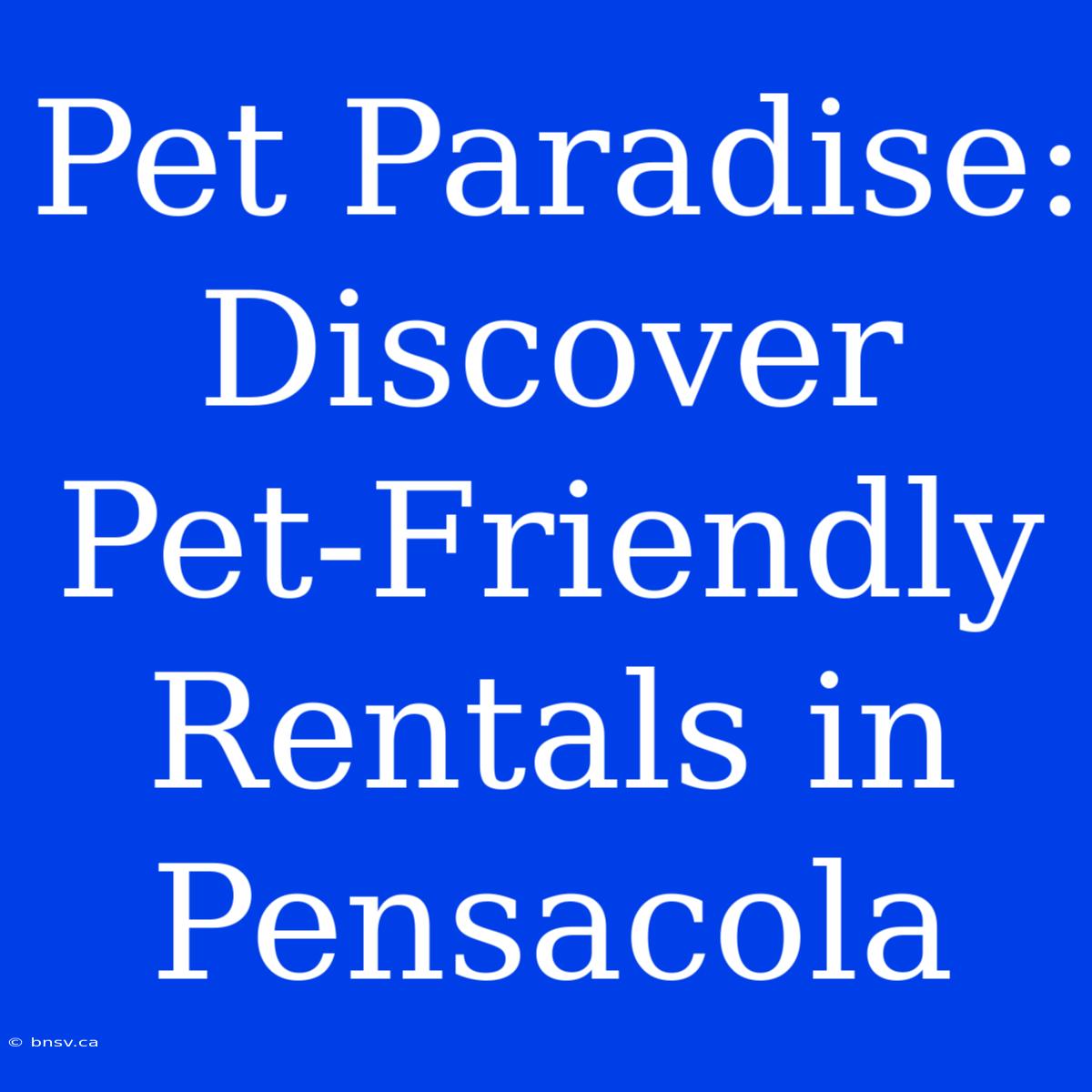 Pet Paradise: Discover Pet-Friendly Rentals In Pensacola