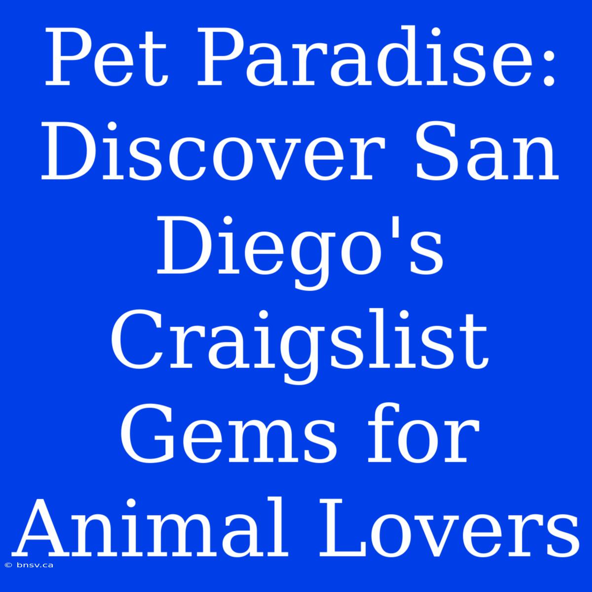 Pet Paradise: Discover San Diego's Craigslist Gems For Animal Lovers