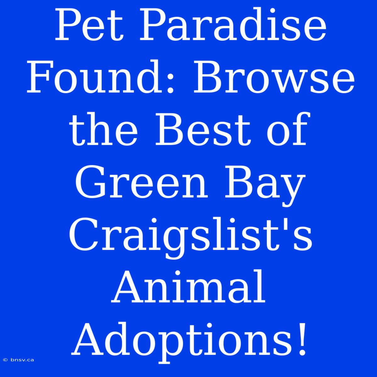 Pet Paradise Found: Browse The Best Of Green Bay Craigslist's Animal Adoptions!