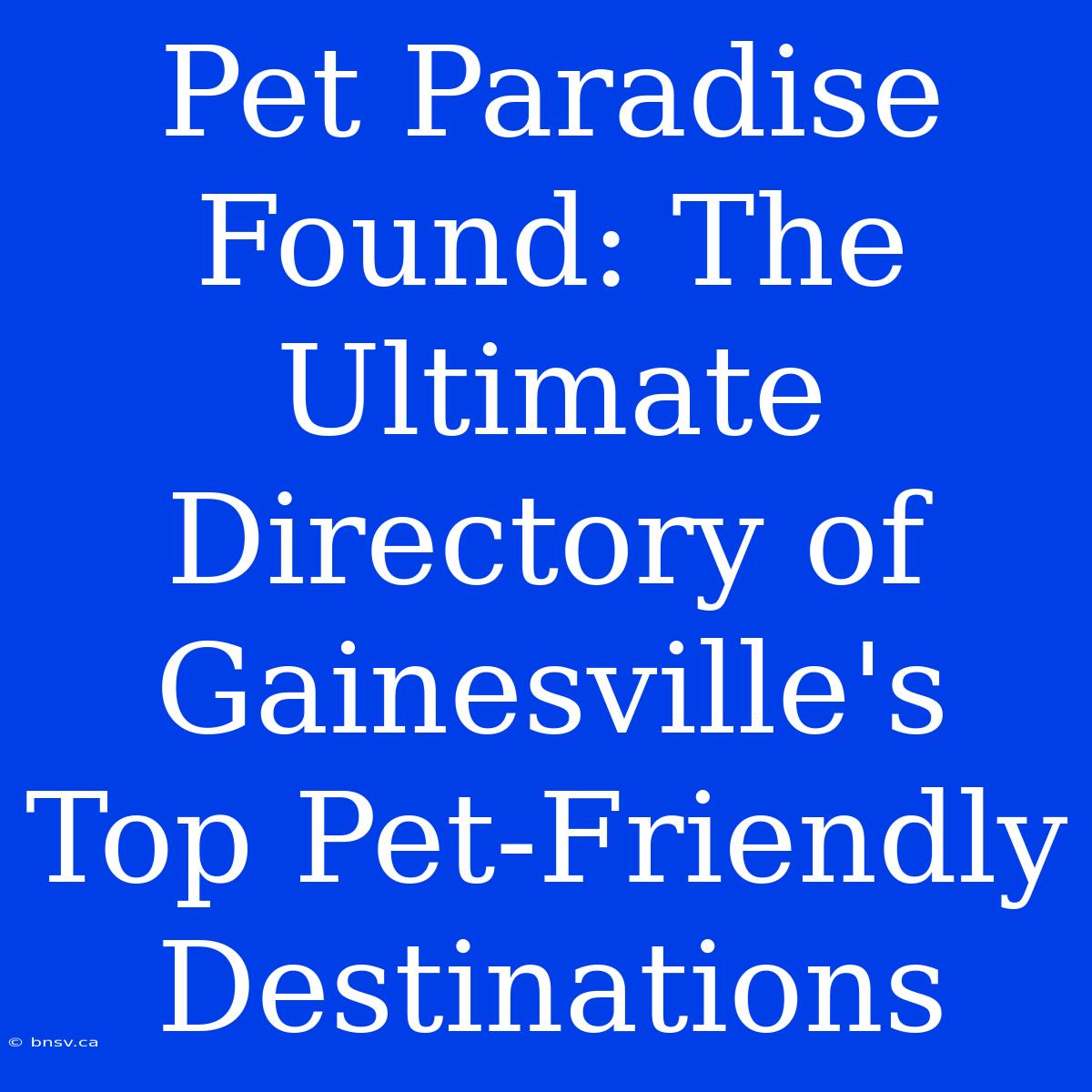 Pet Paradise Found: The Ultimate Directory Of Gainesville's Top Pet-Friendly Destinations