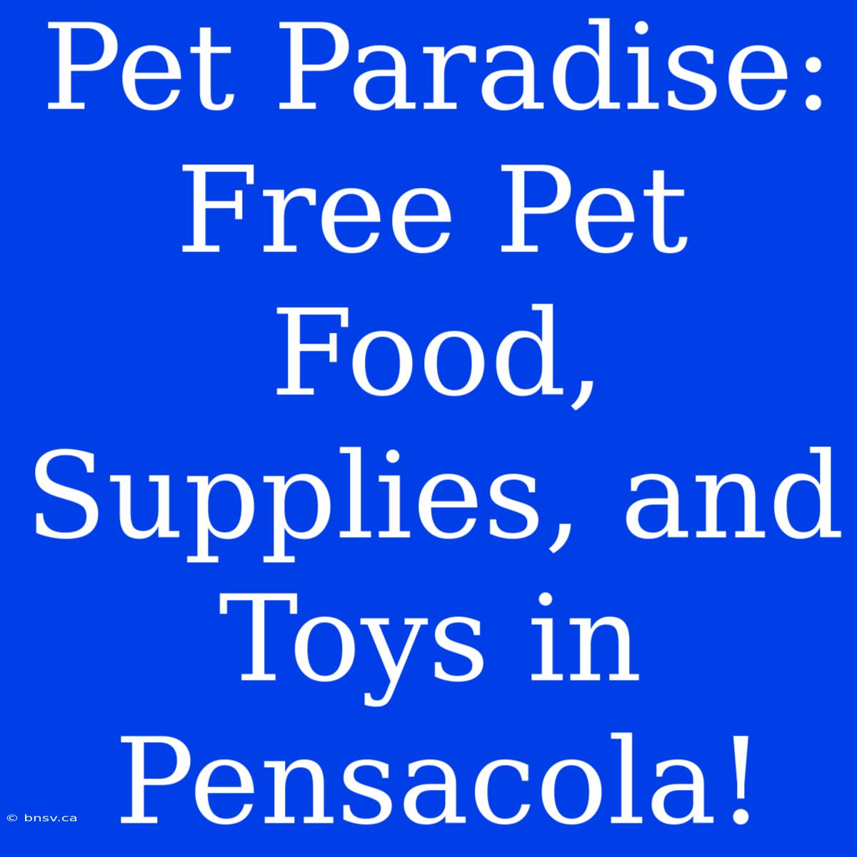 Pet Paradise: Free Pet Food, Supplies, And Toys In Pensacola!