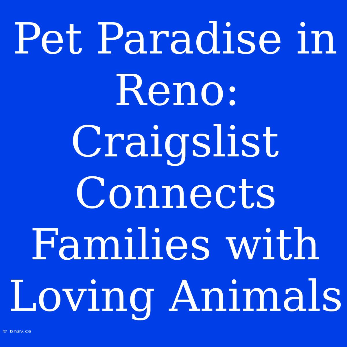 Pet Paradise In Reno: Craigslist Connects Families With Loving Animals