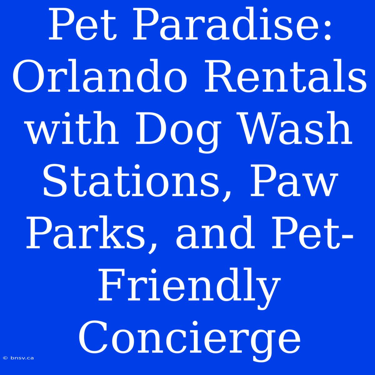 Pet Paradise: Orlando Rentals With Dog Wash Stations, Paw Parks, And Pet-Friendly Concierge