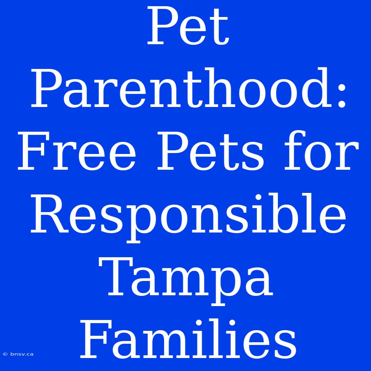 Pet Parenthood: Free Pets For Responsible Tampa Families