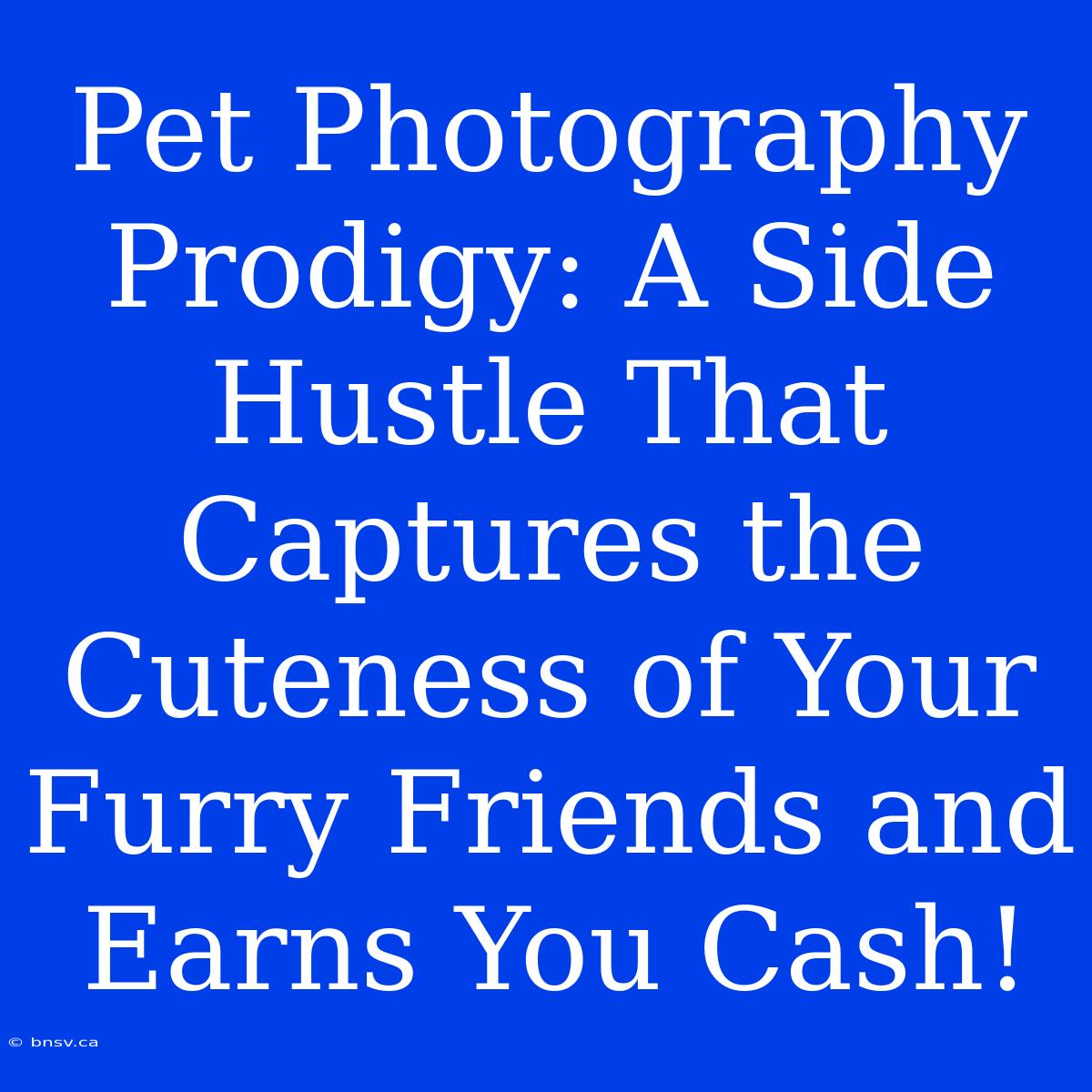 Pet Photography Prodigy: A Side Hustle That Captures The Cuteness Of Your Furry Friends And Earns You Cash!