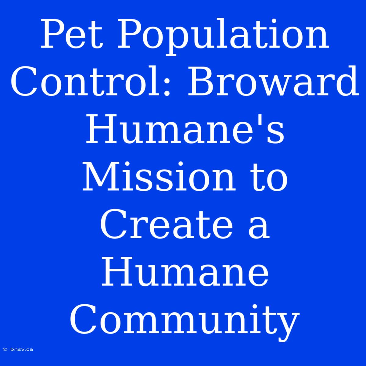 Pet Population Control: Broward Humane's Mission To Create A Humane Community