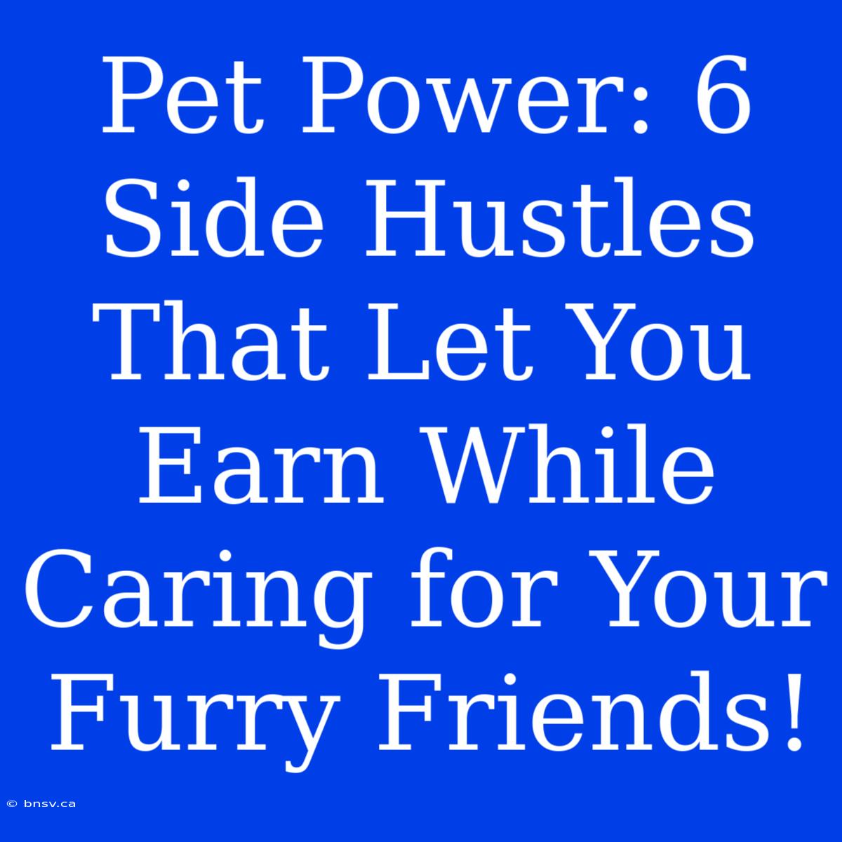 Pet Power: 6 Side Hustles That Let You Earn While Caring For Your Furry Friends!