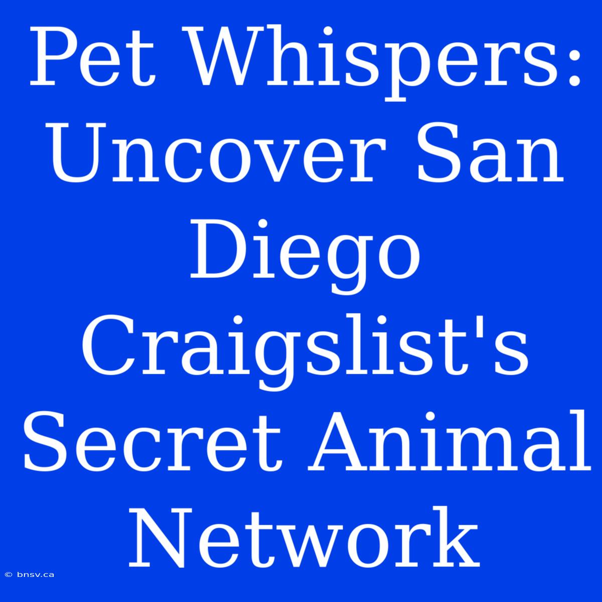 Pet Whispers: Uncover San Diego Craigslist's Secret Animal Network