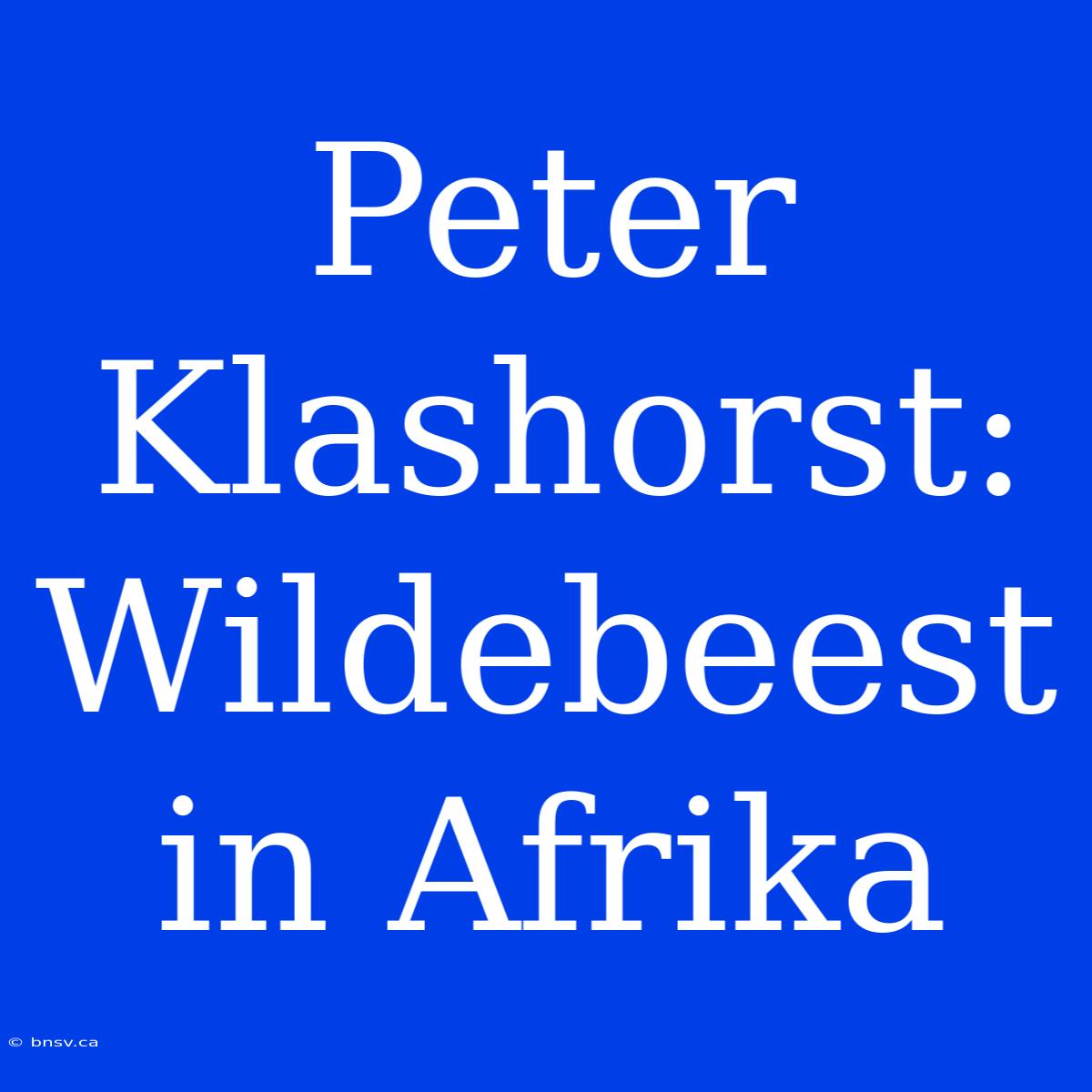 Peter Klashorst: Wildebeest In Afrika