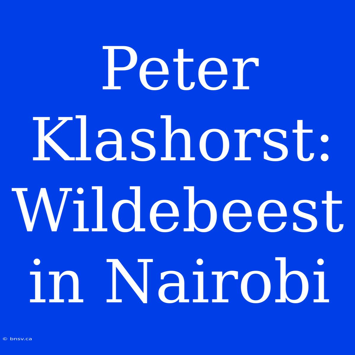 Peter Klashorst: Wildebeest In Nairobi