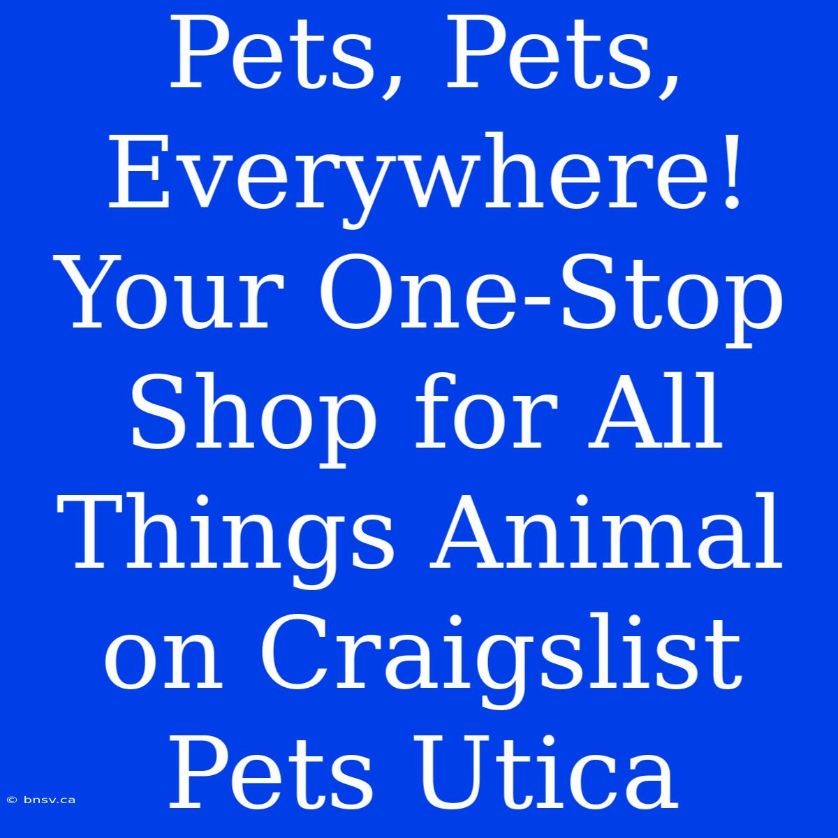 Pets, Pets, Everywhere! Your One-Stop Shop For All Things Animal On Craigslist Pets Utica