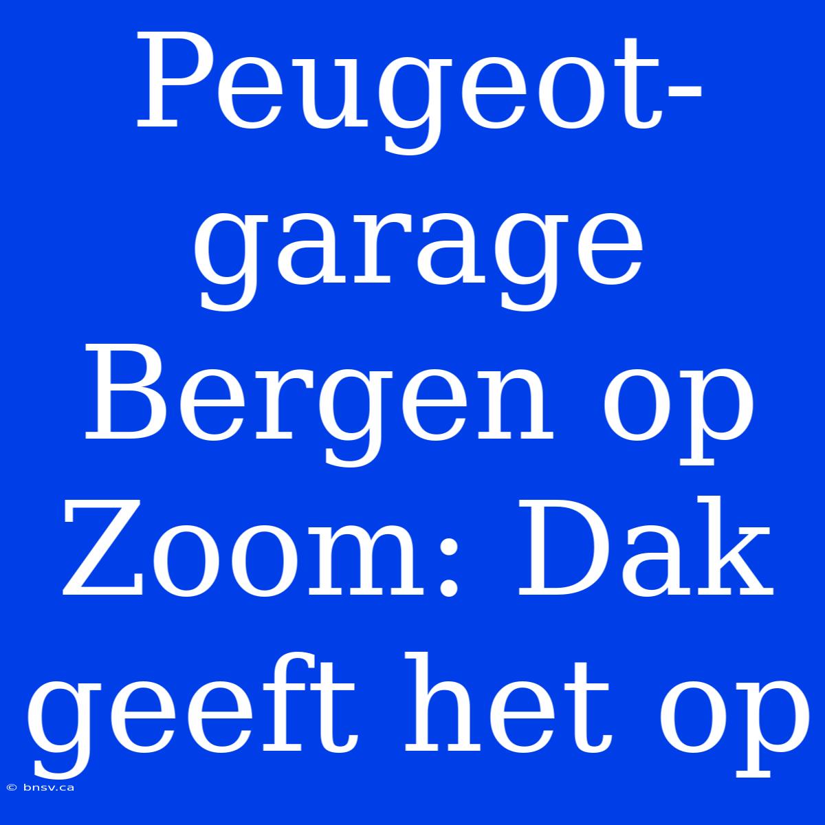 Peugeot-garage Bergen Op Zoom: Dak Geeft Het Op